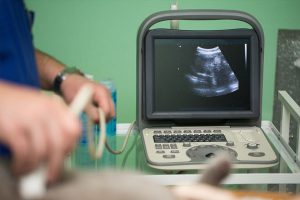 Diagnostics, Imaging and Radiology