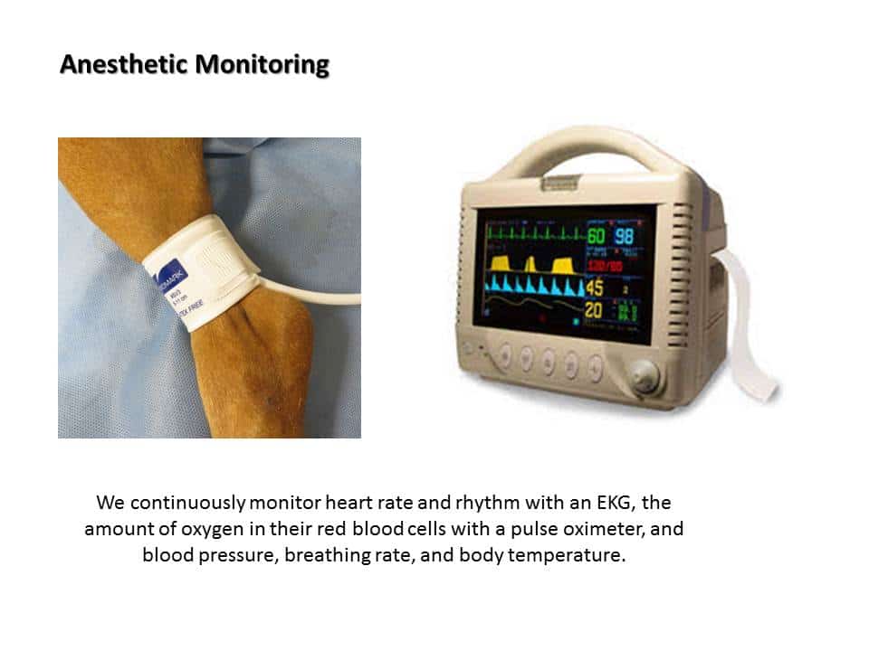 Digital monitoring