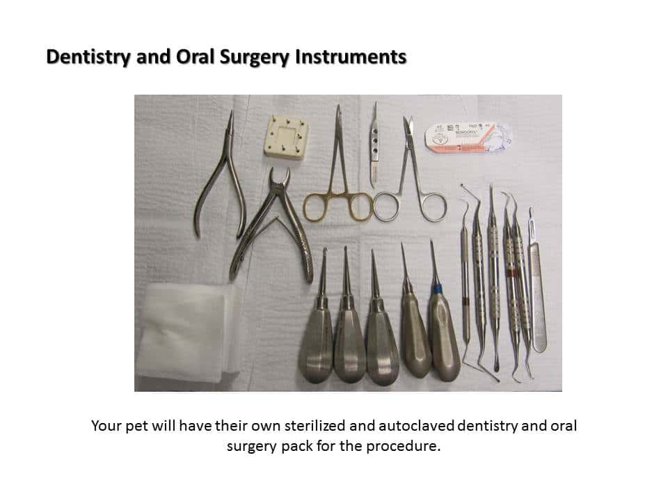 Dentistry Tools