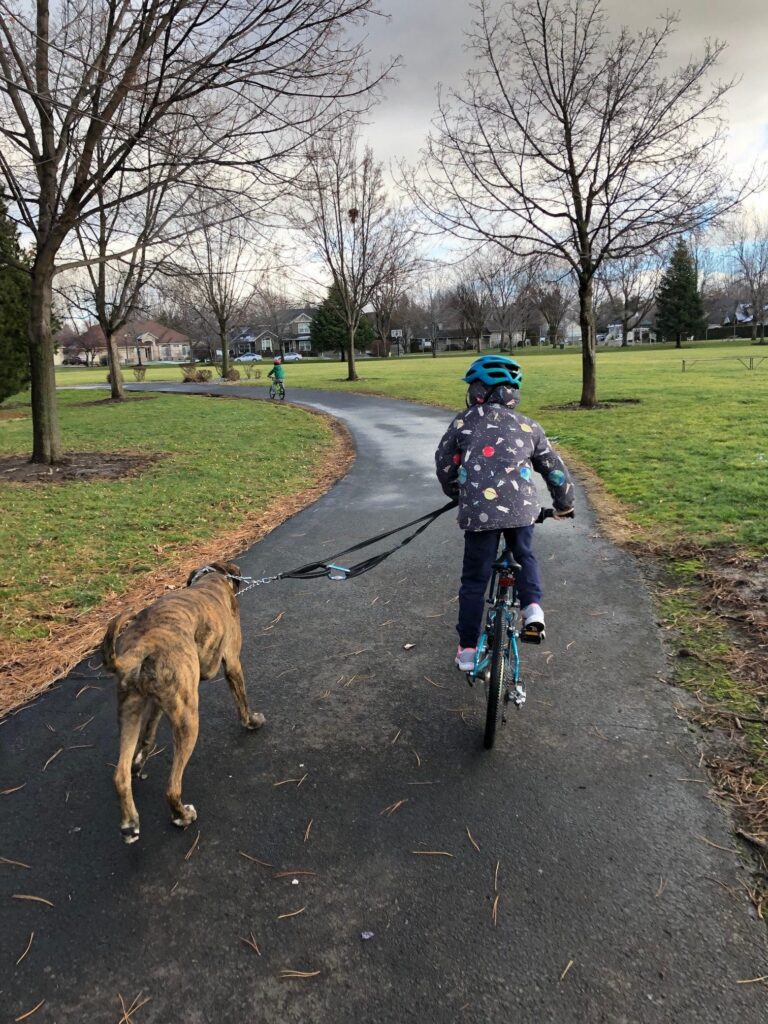 A child in a polka-dot jacket and helmet rides a bicycle on a winding path, with their loyal brown dog on a leash by their side, looking as healthy as ever after a recent trip to the vet. Leafless trees and grass frame the scene, while another cyclist appears in the distance.
