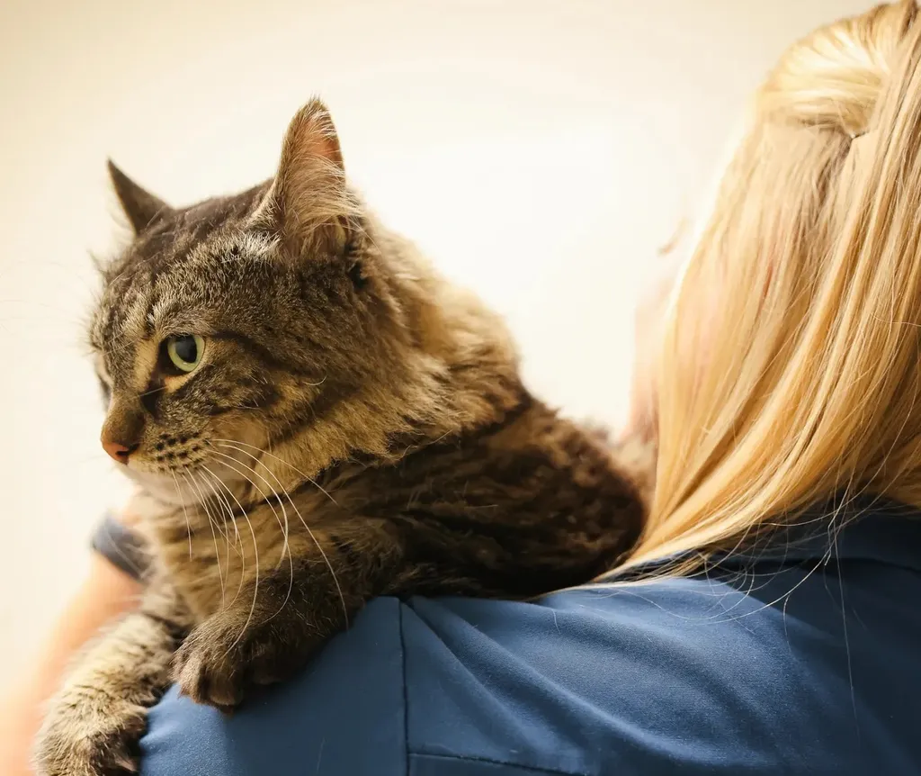 End-of-Life Care and Euthanasia, pet quality of life assessment Walla Walla, veterinary euthanasia support services
