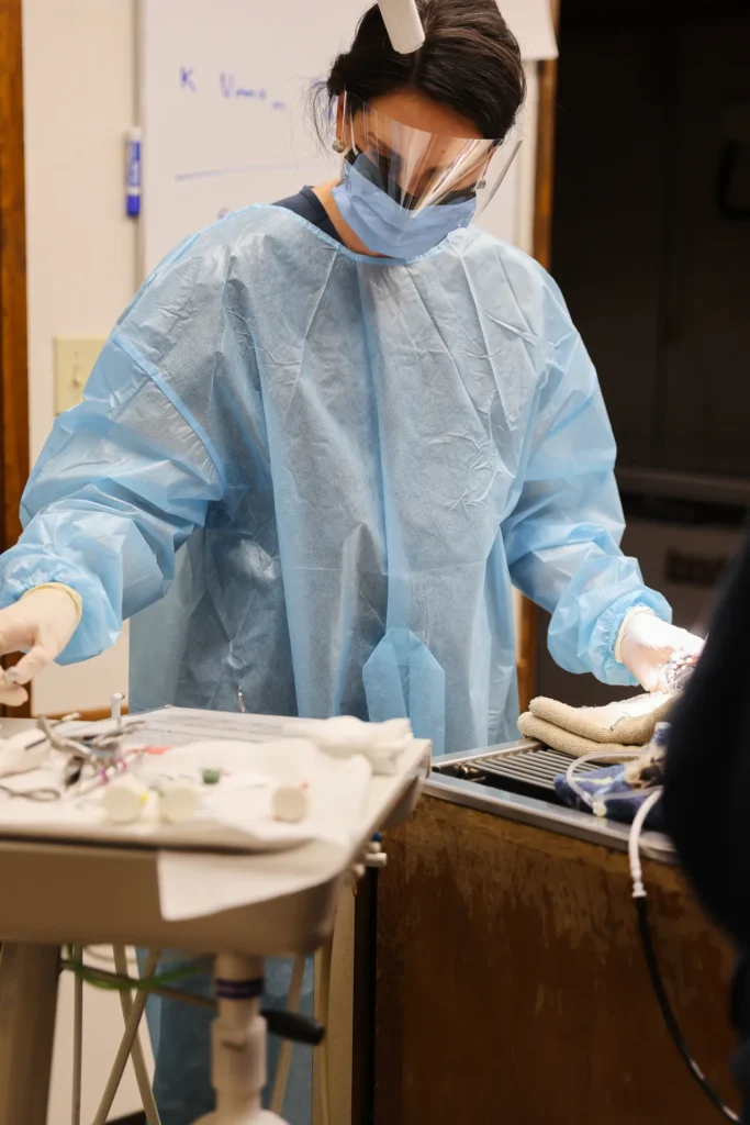 Surgery and Anesthesia, veterinary surgery in Walla Walla, pet anesthesia safety