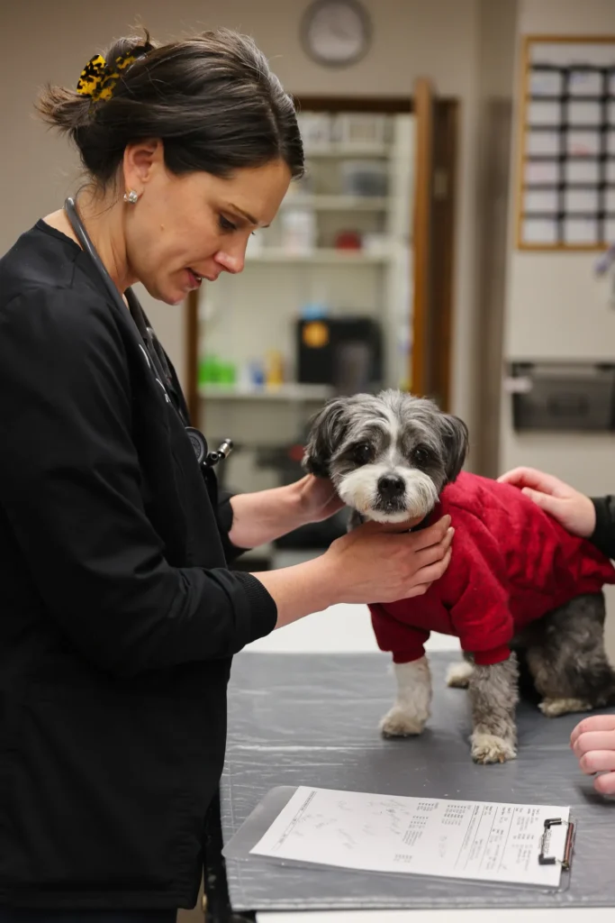 Emergency and Urgent Care, urgent veterinary care Walla Walla, after hours pet emergency services