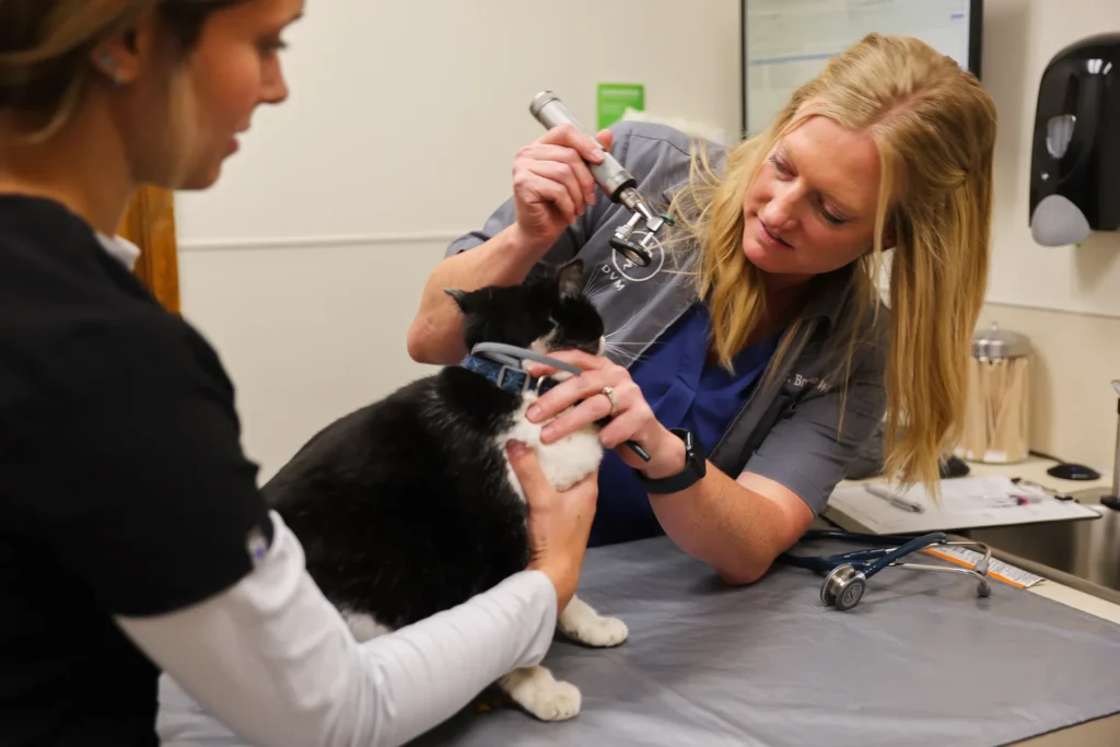 Vaccines, Parasite Prevention & Environmental Health, pet vaccines Walla Walla, parasite prevention for dogs and cats