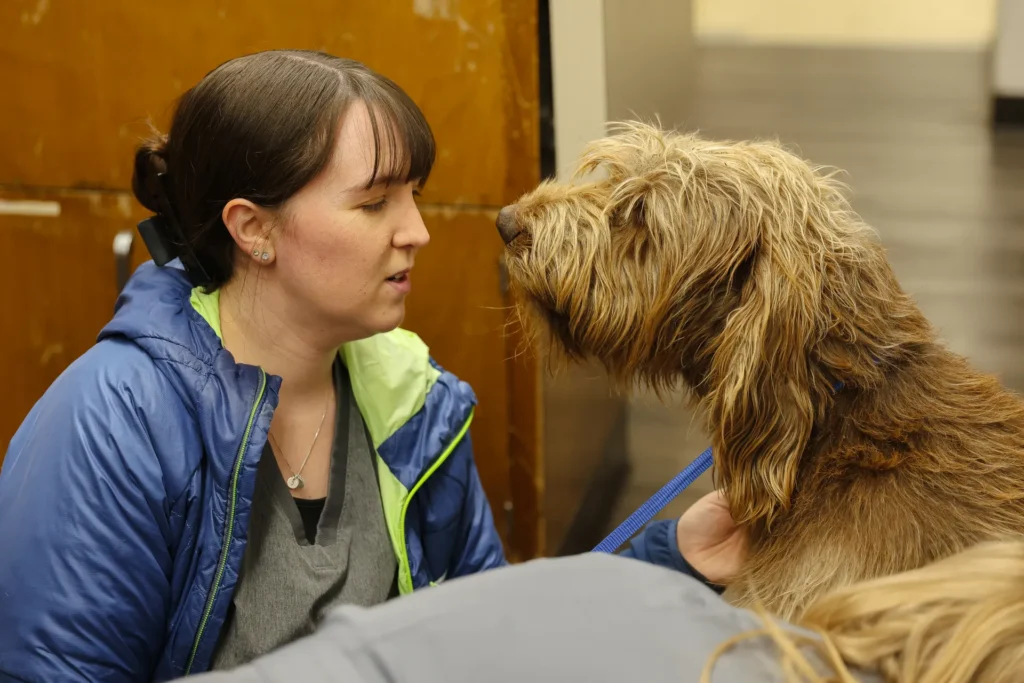 End-of-Life Care and Euthanasia, pet quality of life assessment Walla Walla, veterinary euthanasia support services